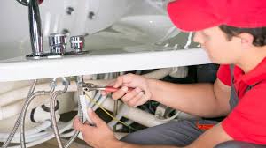 Best Commercial Plumbing Services  in Fremont, IN